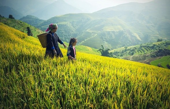 Voyage mouvement jeunesse au vietnam